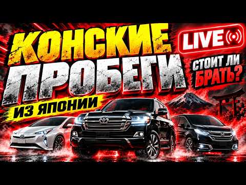 🚨 КОНСКИЕ ПРОБЕГИ ИЗ ЯПОНИИ! 100–200 ТЫС. КМ — БРАТЬ ИЛИ БЕЖАТЬ? 🔥 LIVE